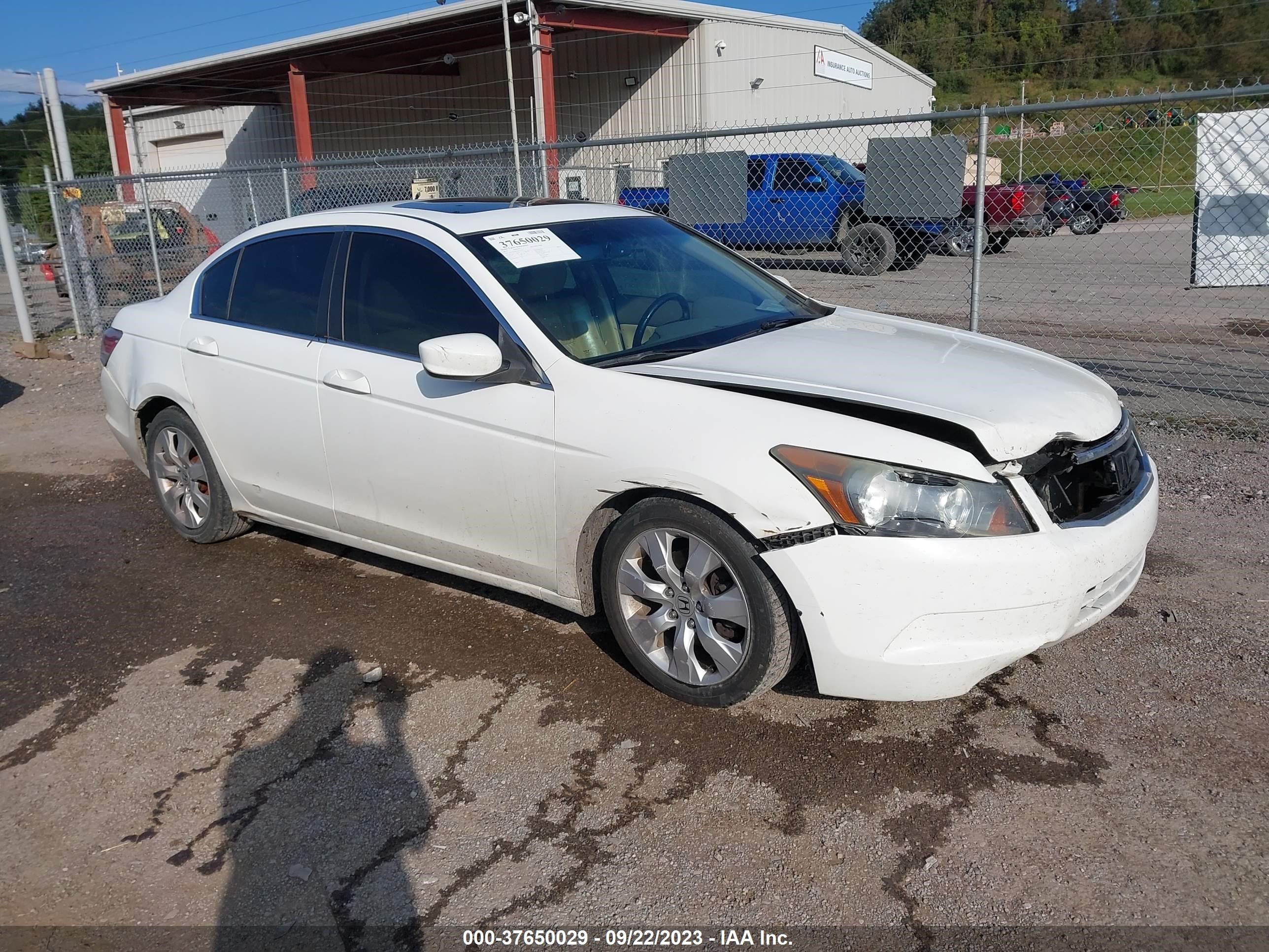 HONDA ACCORD 2010 1hgcp2f82aa075412