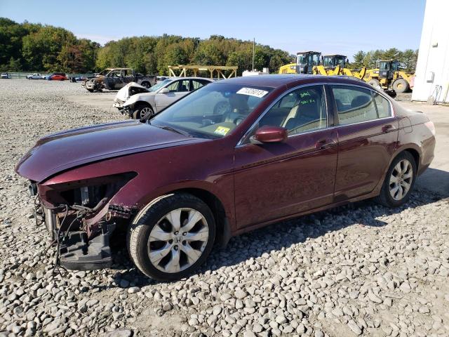 HONDA ACCORD 2010 1hgcp2f82aa169029