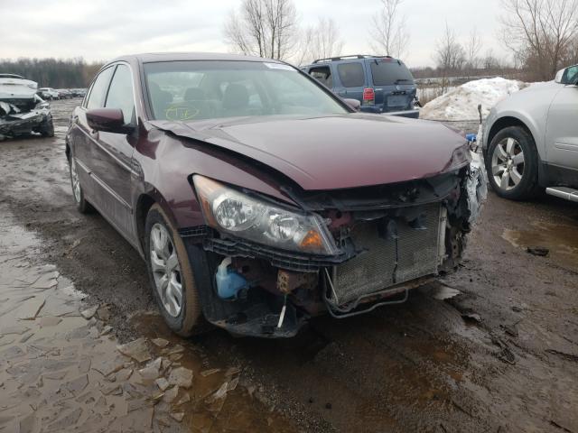 HONDA ACCORD EXL 2010 1hgcp2f82aa174389