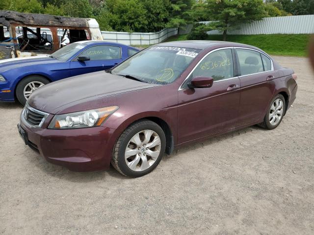 HONDA ACCORD EXL 2010 1hgcp2f82aa185733