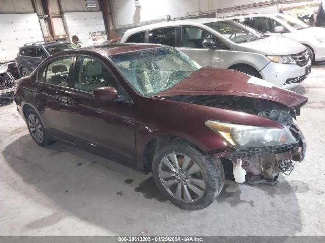 HONDA ACCORD 2011 1hgcp2f82ba010772