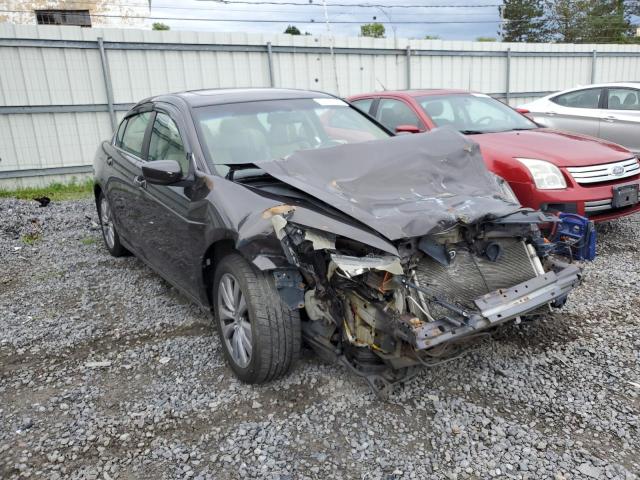 HONDA ACCORD 2011 1hgcp2f82ba019052