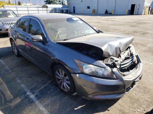 HONDA ACCORD EXL 2011 1hgcp2f82ba044758