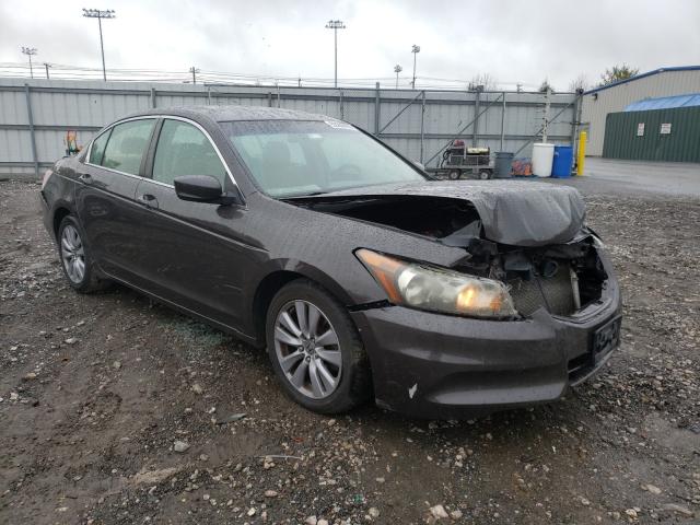 HONDA ACCORD 2011 1hgcp2f82ba056134