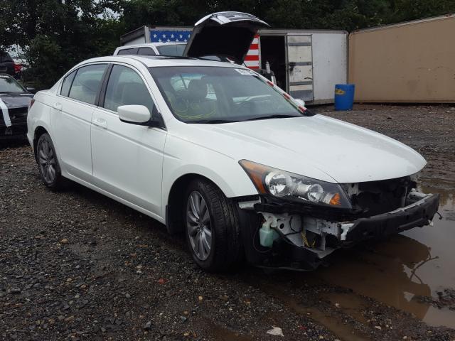 HONDA ACCORD EXL 2011 1hgcp2f82ba066467