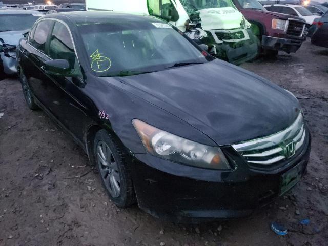 HONDA ACCORD EXL 2011 1hgcp2f82ba074892