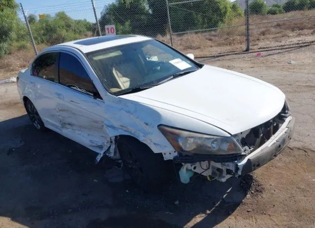 HONDA ACCORD SDN 2011 1hgcp2f82ba093295