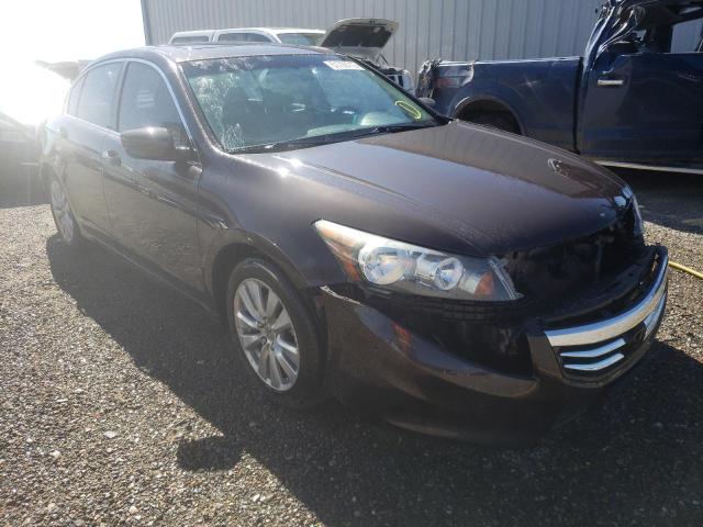 HONDA ACCORD EXL 2011 1hgcp2f82ba113237