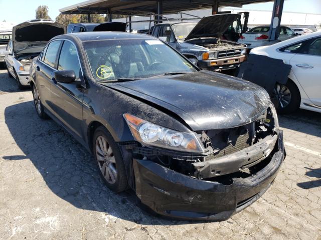 HONDA ACCORD EXL 2011 1hgcp2f82ba129146