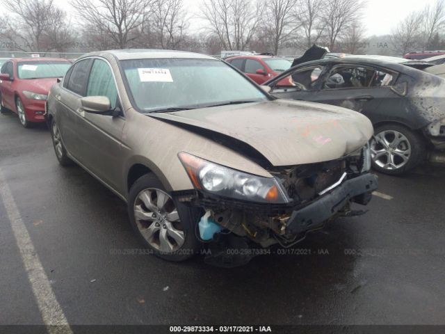 HONDA ACCORD SDN 2010 1hgcp2f83aa010214