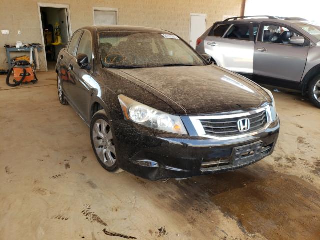 HONDA ACCORD EXL 2010 1hgcp2f83aa119241