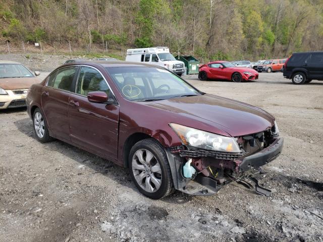 HONDA ACCORD EXL 2010 1hgcp2f83aa145337