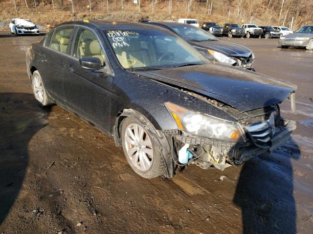 HONDA ACCORD EXL 2011 1hgcp2f83ba004379