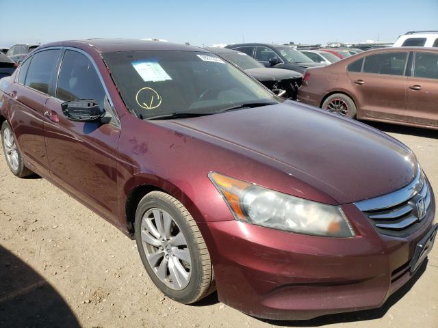 HONDA ACCORD EXL 2011 1hgcp2f83ba008366