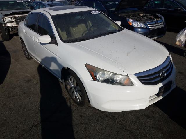 HONDA ACCORD EXL 2011 1hgcp2f83ba009534