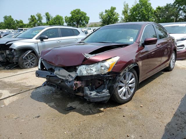 HONDA ACCORD EXL 2011 1hgcp2f83ba022798