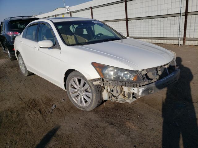 HONDA ACCORD EXL 2011 1hgcp2f83ba022896