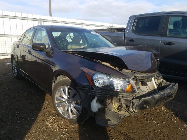 HONDA ACCORD EXL 2011 1hgcp2f83ba033588