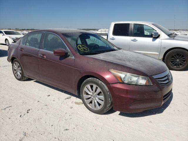 HONDA ACCORD EXL 2011 1hgcp2f83ba059494