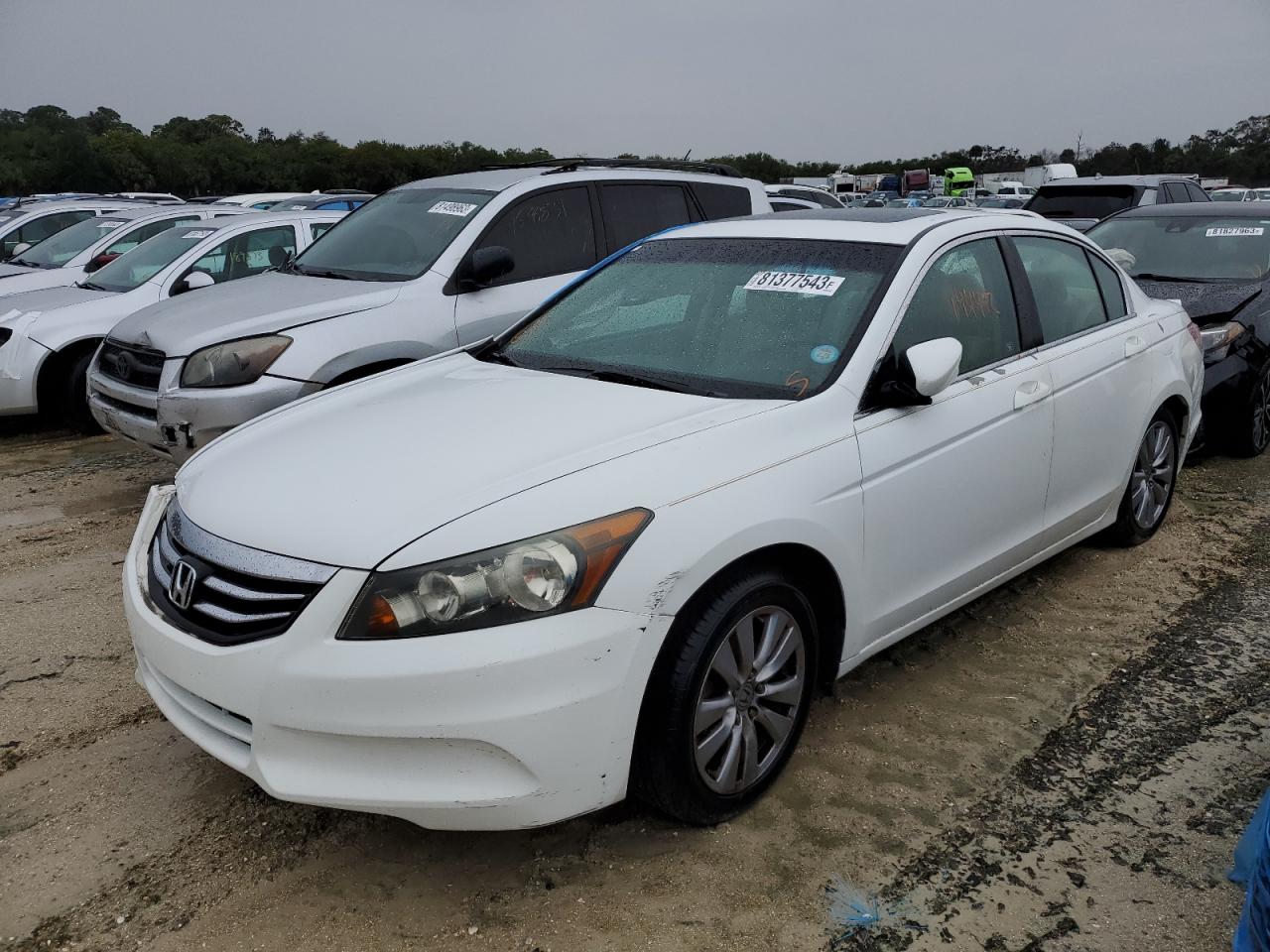 HONDA ACCORD 2011 1hgcp2f83ba147414