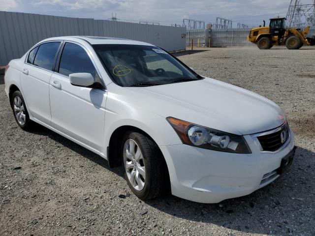 HONDA ACCORD EXL 2010 1hgcp2f84aa006169