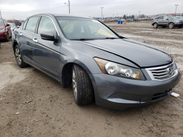 HONDA ACCORD EXL 2010 1hgcp2f84aa010013