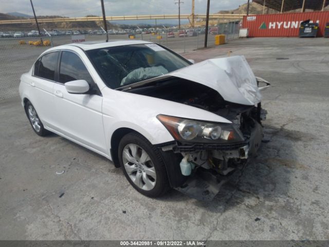 HONDA ACCORD SDN 2010 1hgcp2f84aa049359