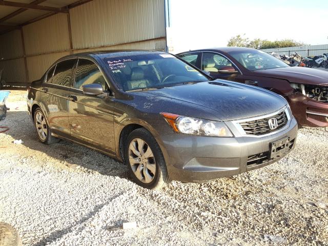 HONDA ACCORD EXL 2010 1hgcp2f84aa051659