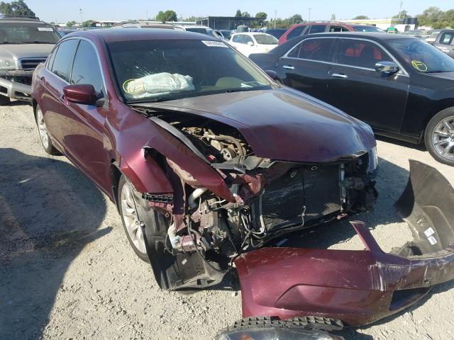 HONDA ACCORD EXL 2010 1hgcp2f84aa059082