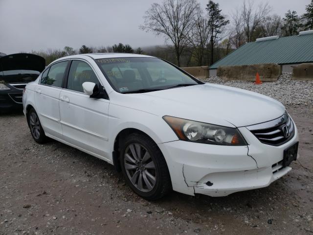 HONDA ACCORD EXL 2011 1hgcp2f84ba002298