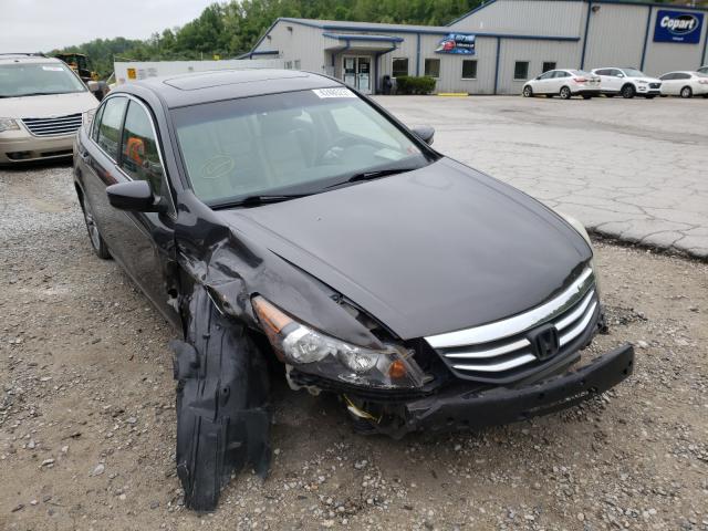 HONDA ACCORD EXL 2011 1hgcp2f84ba071251