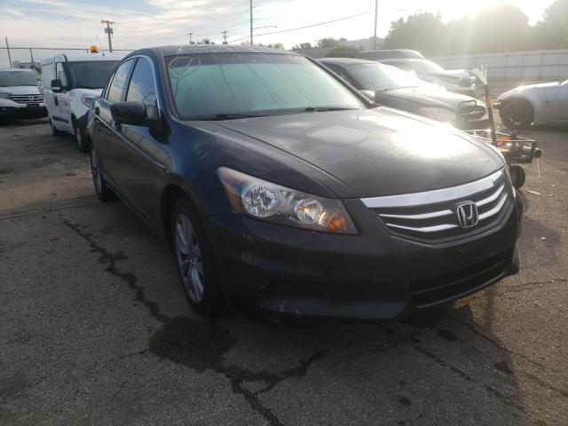 HONDA ACCORD EXL 2011 1hgcp2f84ba081536