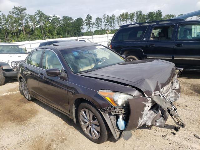 HONDA ACCORD EXL 2011 1hgcp2f84ba145770