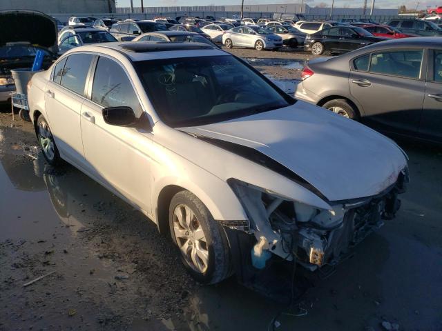 HONDA ACCORD EXL 2010 1hgcp2f85aa125431