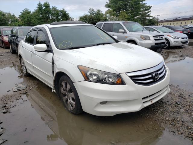 HONDA ACCORD EXL 2010 1hgcp2f85aa154556