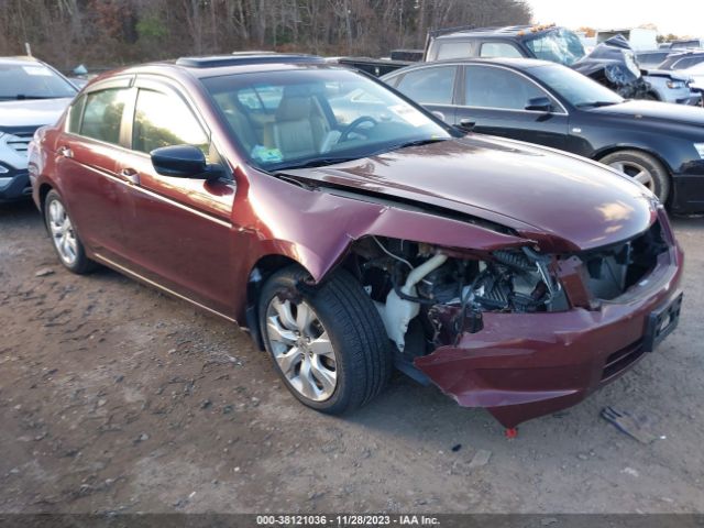 HONDA ACCORD 2010 1hgcp2f85aa169025