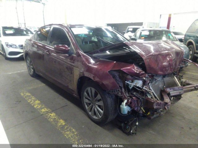 HONDA ACCORD SDN 2011 1hgcp2f85ba001242