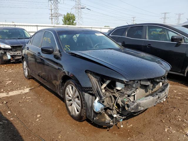 HONDA ACCORD EXL 2011 1hgcp2f85ba029042