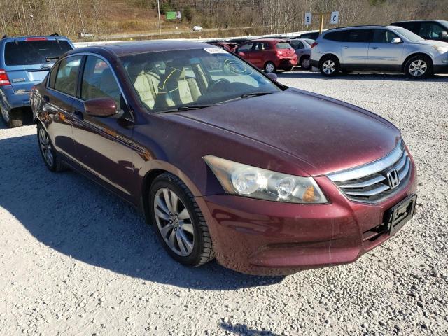 HONDA ACCORD EXL 2011 1hgcp2f85ba050988