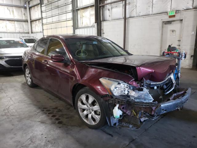 HONDA ACCORD EXL 2010 1hgcp2f86aa085702