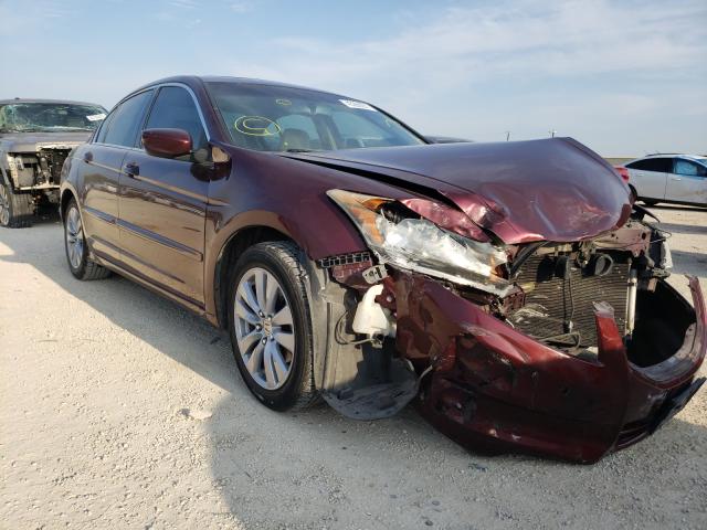 HONDA ACCORD EXL 2011 1hgcp2f86ba037974