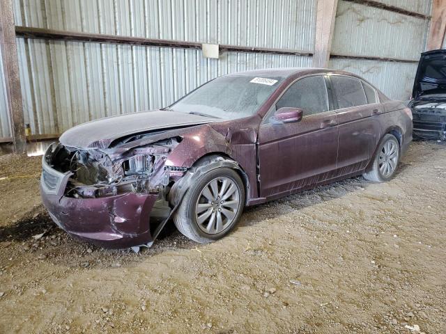 HONDA ACCORD EXL 2011 1hgcp2f86ba037991