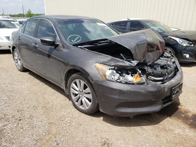 HONDA ACCORD EXL 2011 1hgcp2f86ba043984