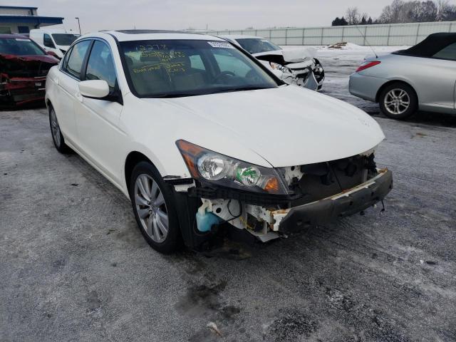 HONDA ACCORD EXL 2011 1hgcp2f86ba054113