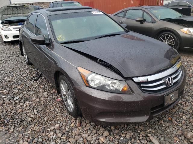 HONDA ACCORD EXL 2011 1hgcp2f86ba126802