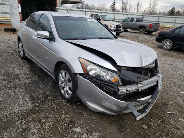 HONDA ACCORD EXL 2010 1hgcp2f87aa141209