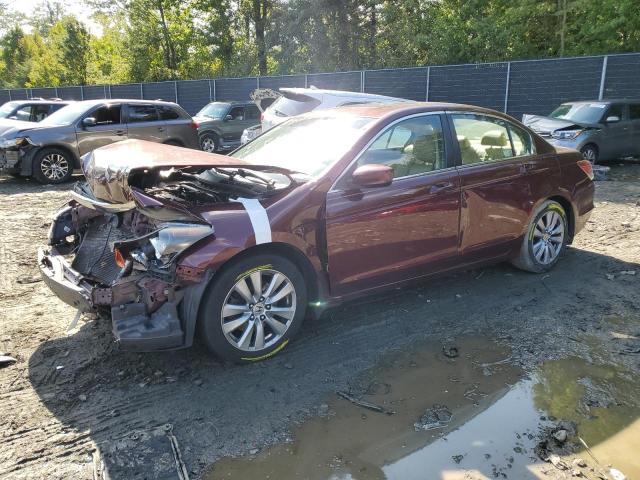 HONDA ACCORD EXL 2011 1hgcp2f87ba008046