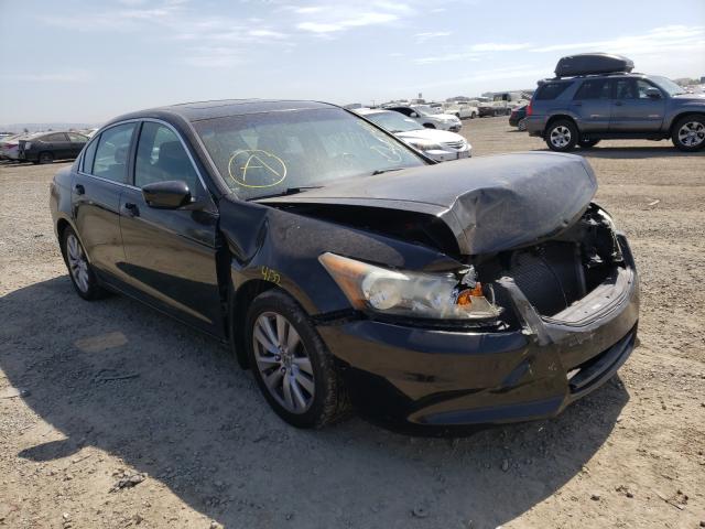 HONDA ACCORD 2011 1hgcp2f87ba016406