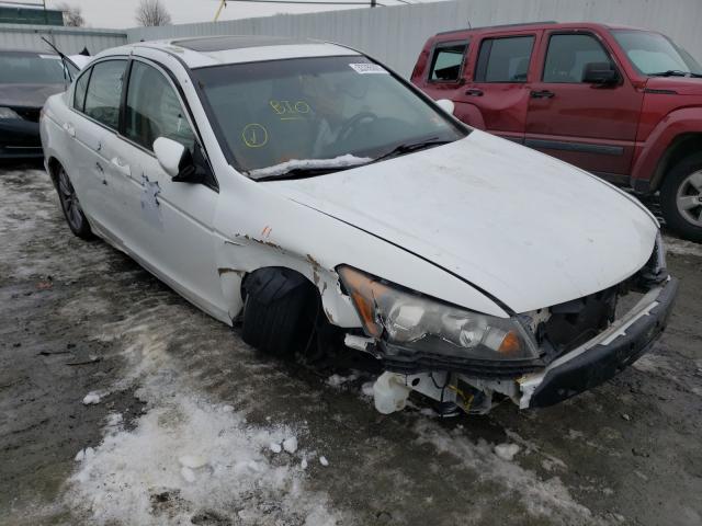 HONDA ACCORD EXL 2011 1hgcp2f87ba027714