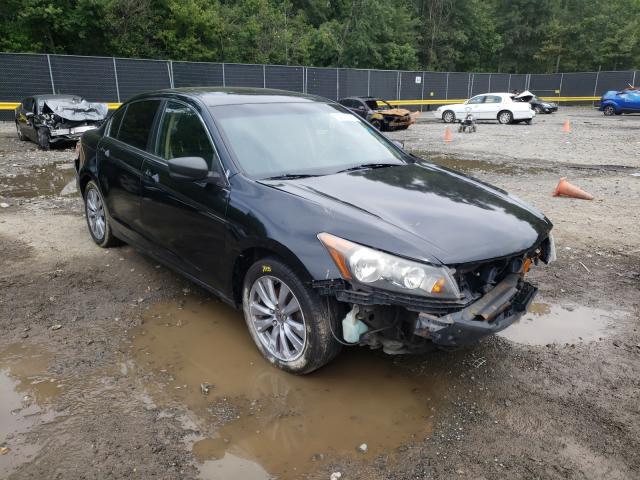 HONDA ACCORD EXL 2011 1hgcp2f87ba028801